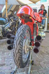 DSC_0550.jpg