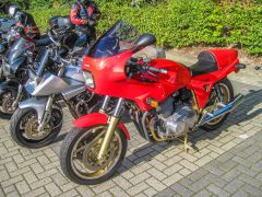 IMG_3892.jpg