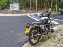 IMG_3931.jpg