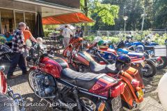 IMG_8194.jpg