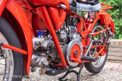 IMG_5061.jpg