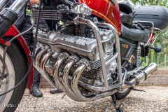 IMG_5097.jpg