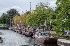 IMG_5259.jpg