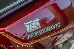 IMG_8157.jpg