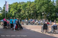 IMG_8196.jpg