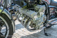 IMG_8201.jpg