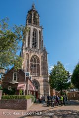 IMG_8293.jpg