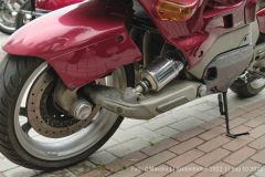 IMG_5387.jpg
