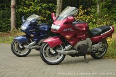 IMG_5495.jpg