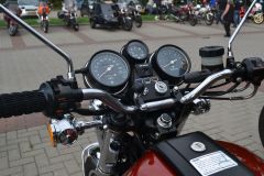 DSC_0604.JPG