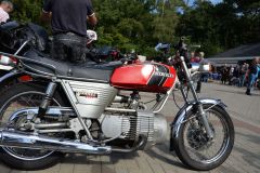 DSC_3176.JPG