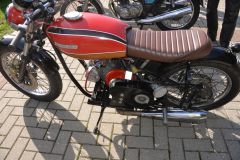 DSC_3338.JPG
