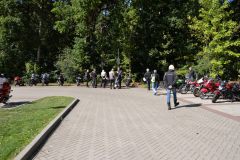 DSC_3390.JPG