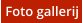 Foto gallerij